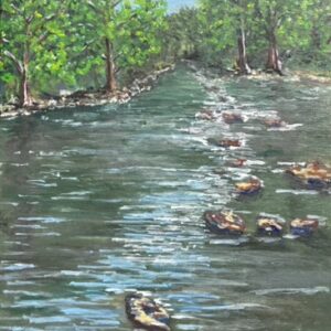 Holston River Honey Hole